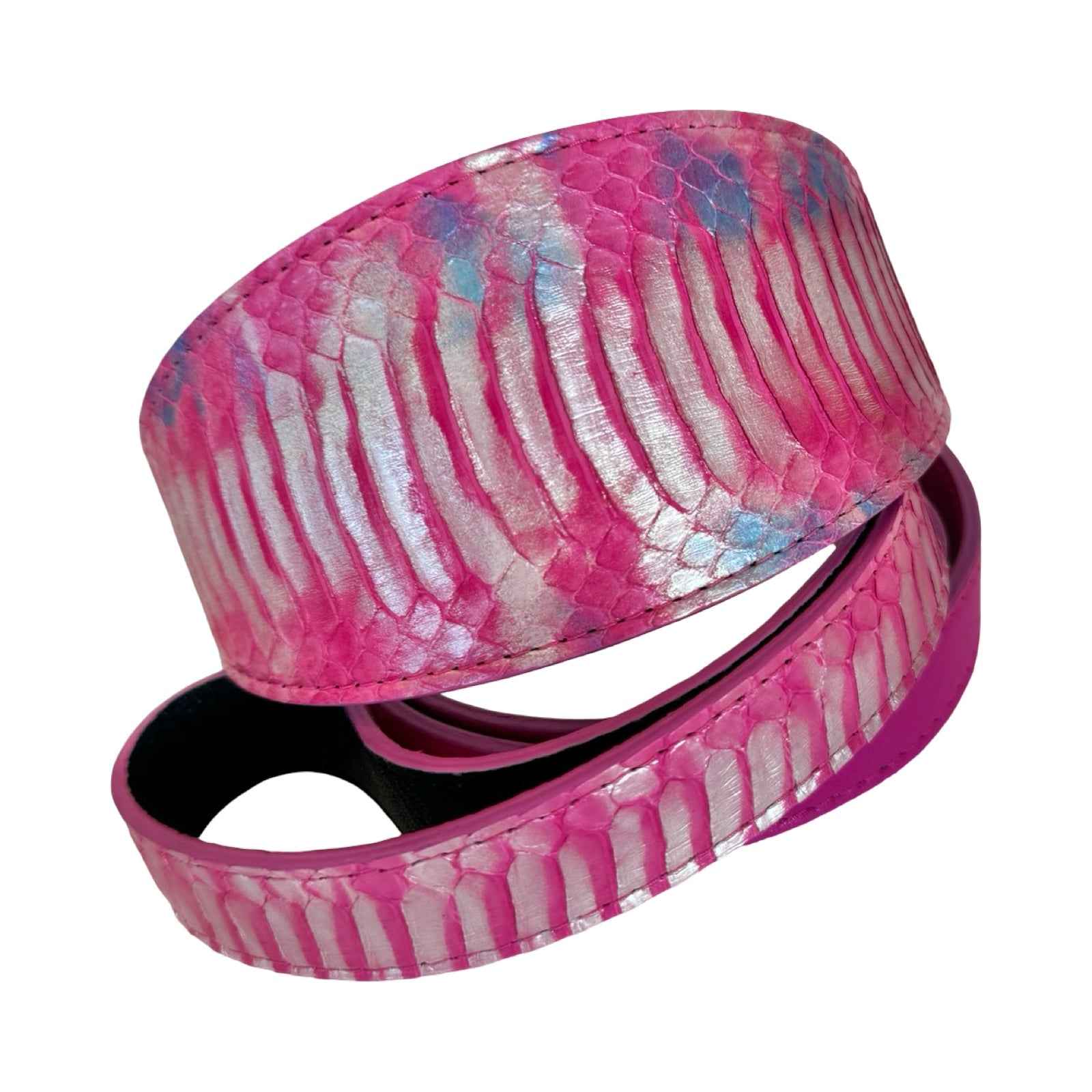 Allysa Payne Pavé In Pink Authentic Iridescent Snake 3-Inch Wide Style Statement Dog Collar & Leash Set