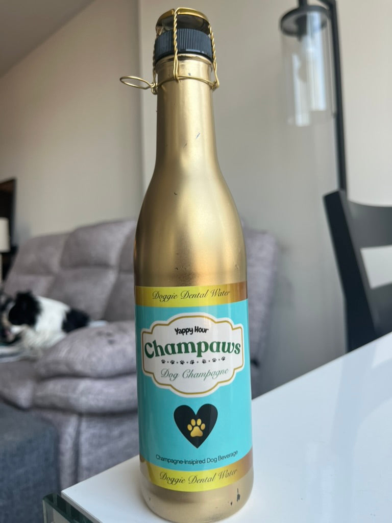 Champaws Dog Champagne