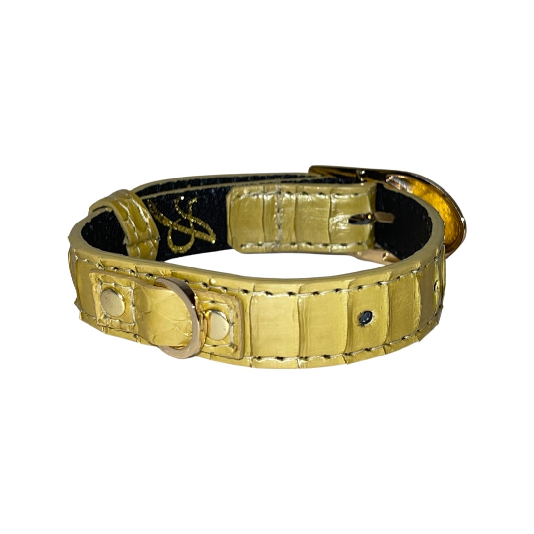 Allysa Payne XS/S 7"-14" Light Yellow Patent Custom Snake Dog Collar/Custom Gold Italian Hardware