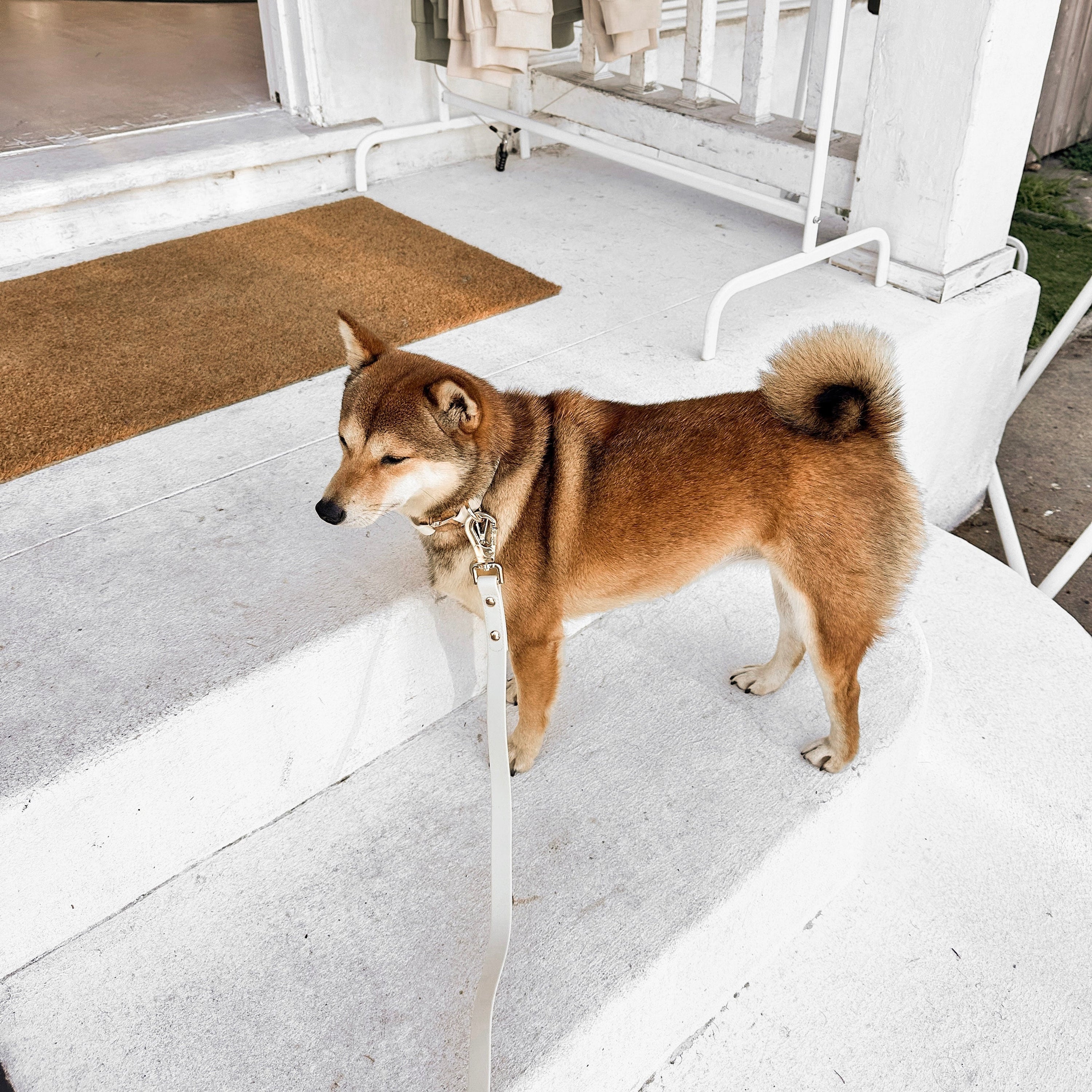 Elise Collar & Leash Set - Bone