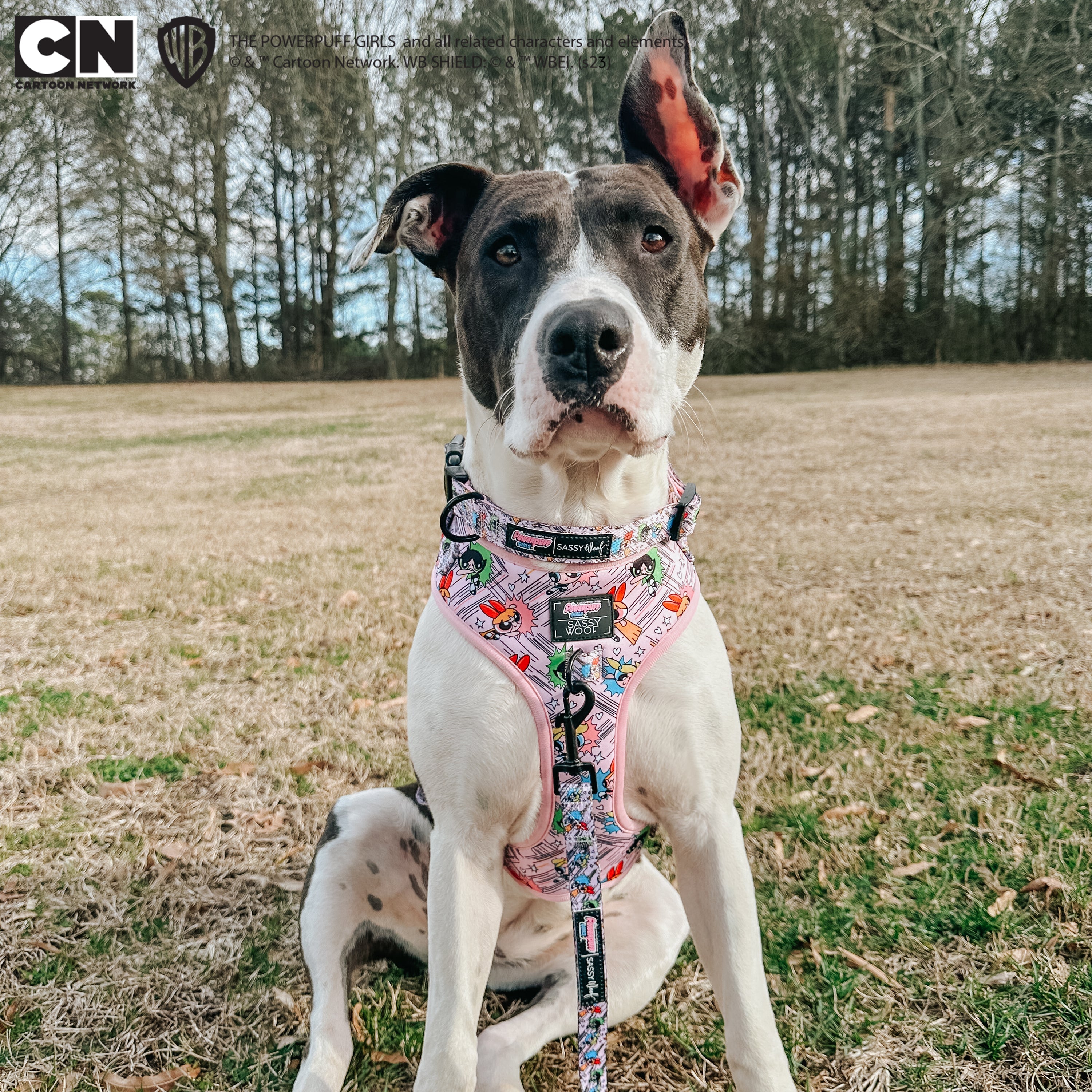 Dog Adjustable Harness - The Powerpuff Girls™ (Pink)