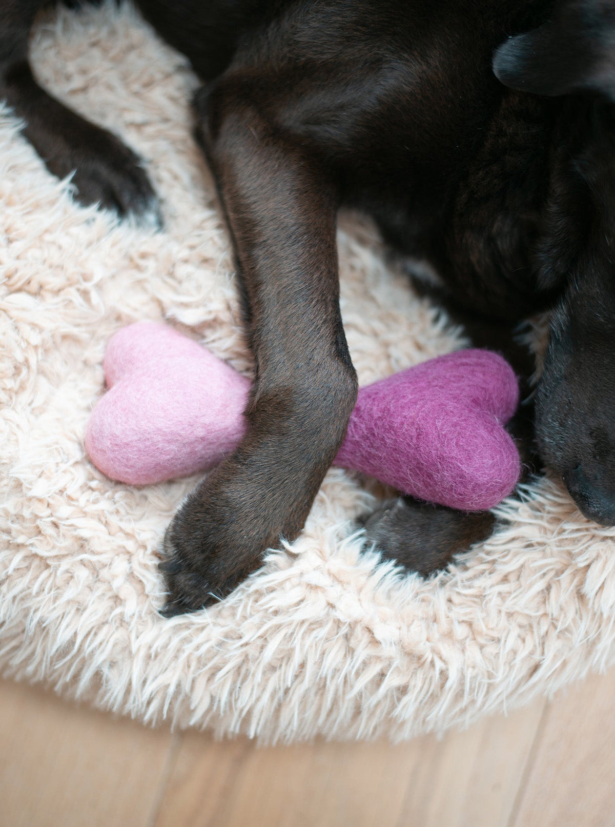 OMBRE WOOLBONE