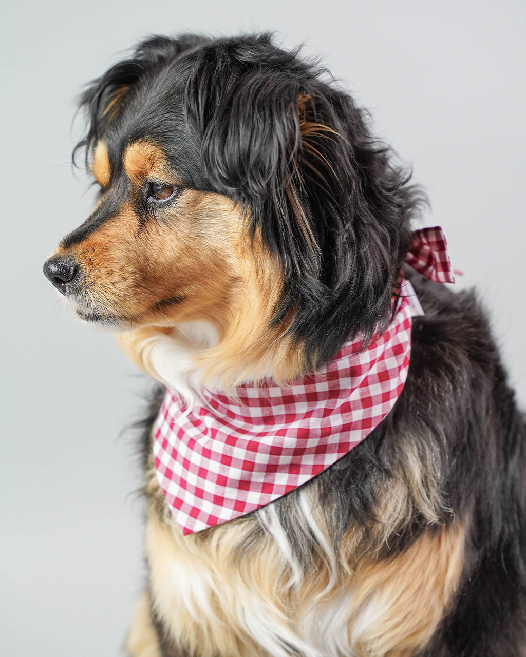 GINGHAM BANDANA | HT Animal Supply