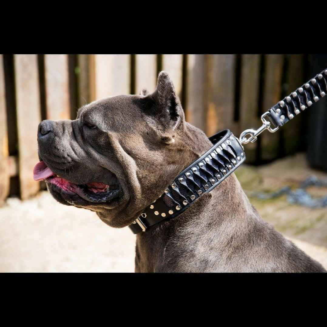 Bestia Steampunk Exclusive Design Leather Dog Collar