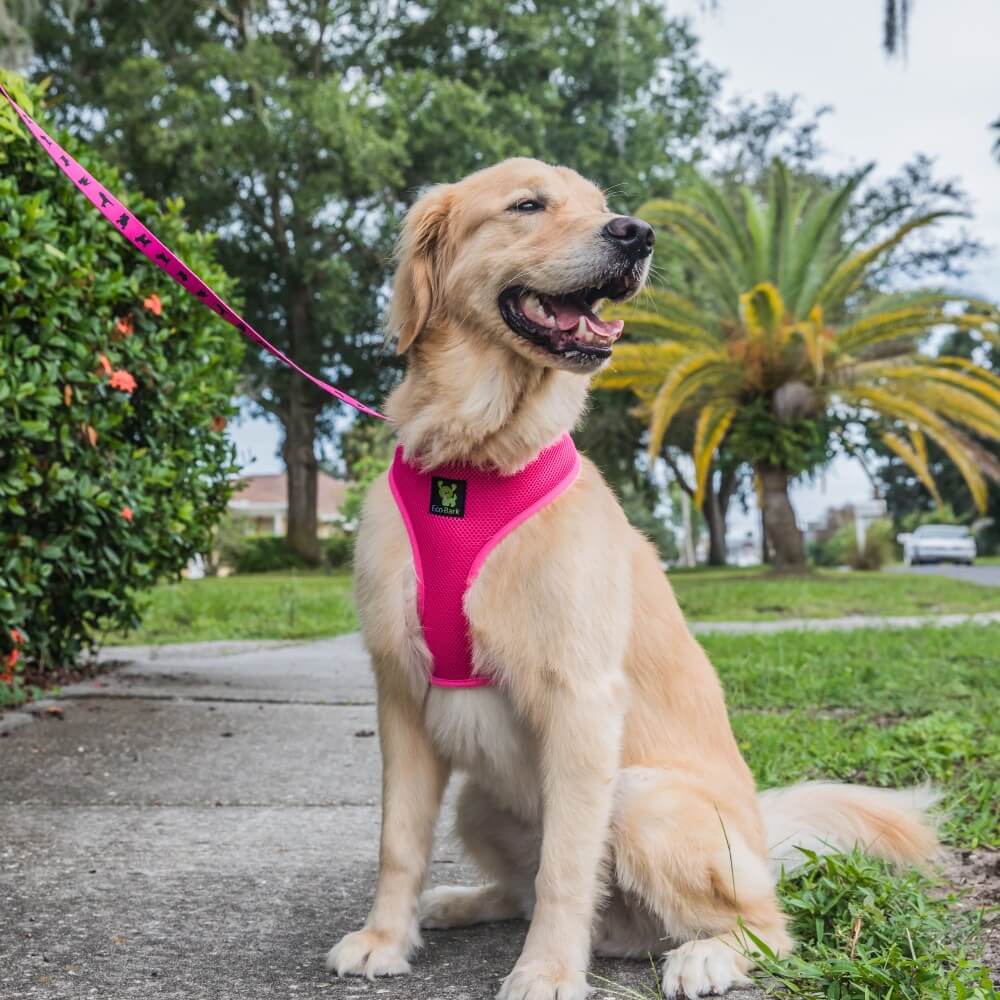 Pink Dog Leash by EcoBark - Padded Comfort Grip Leash - 4ft, 5ft, and 6ft Leash for Teacup, Small, and Medium Dogs