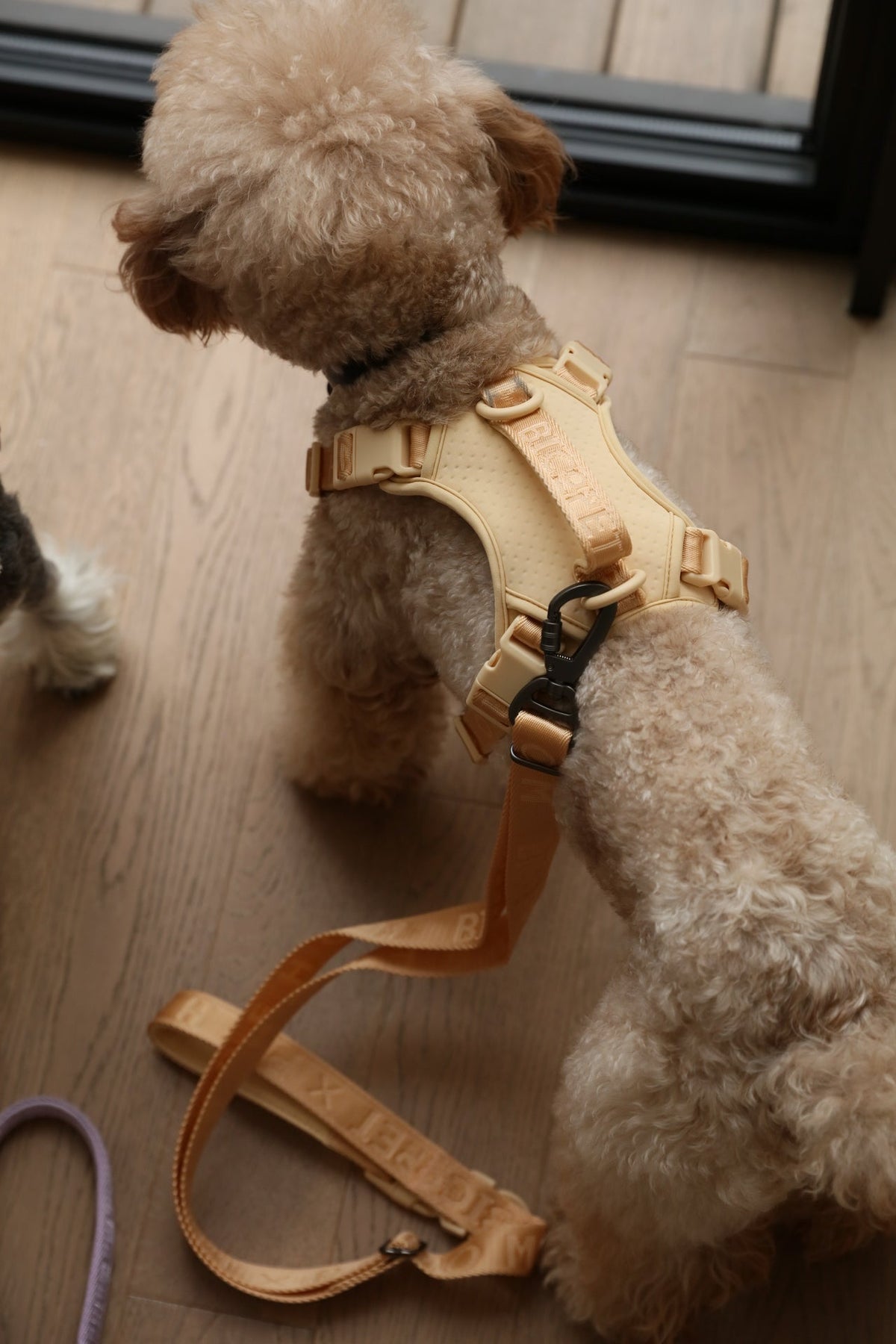 No Pull Active Pet Harness-Apricot