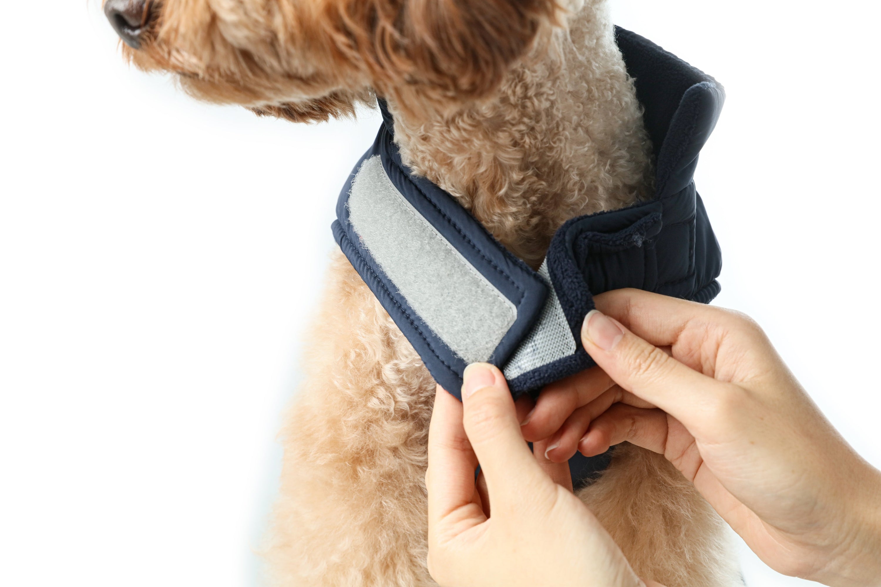 Reversible Dog Vest Jacket-Blue