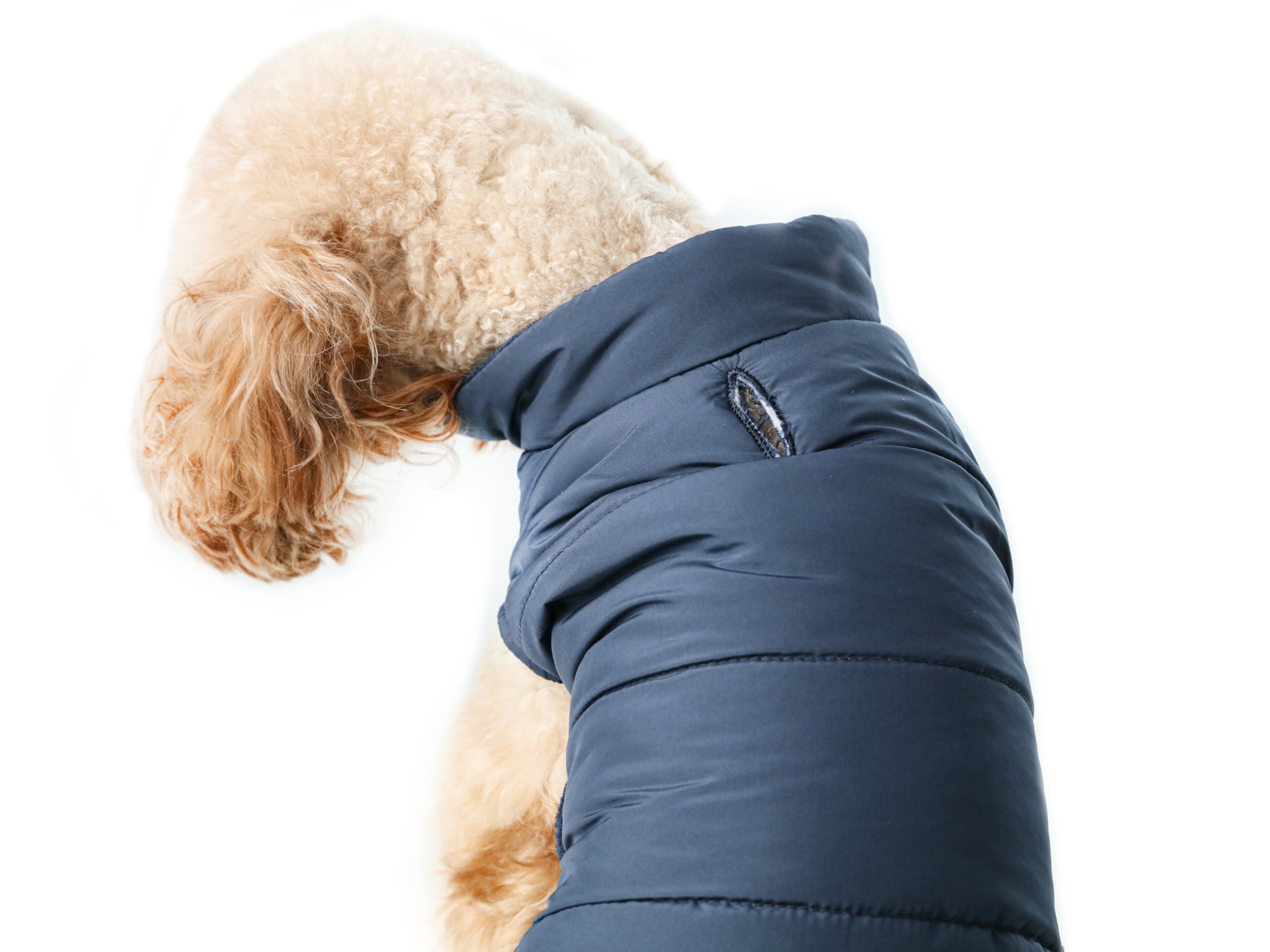 Reversible Dog Vest Jacket-Red