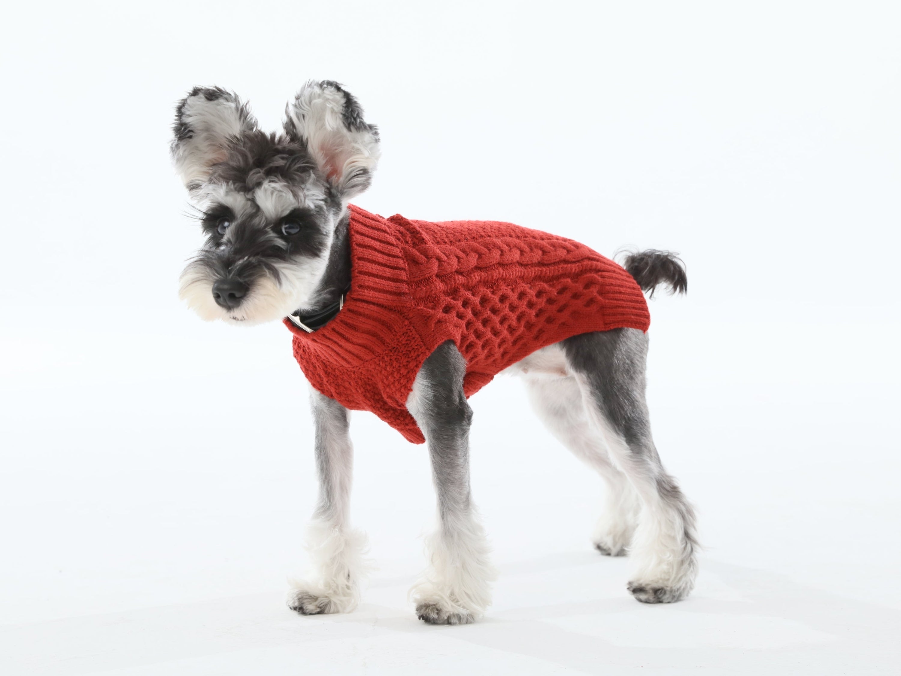 Pet Sweater Vest-Red