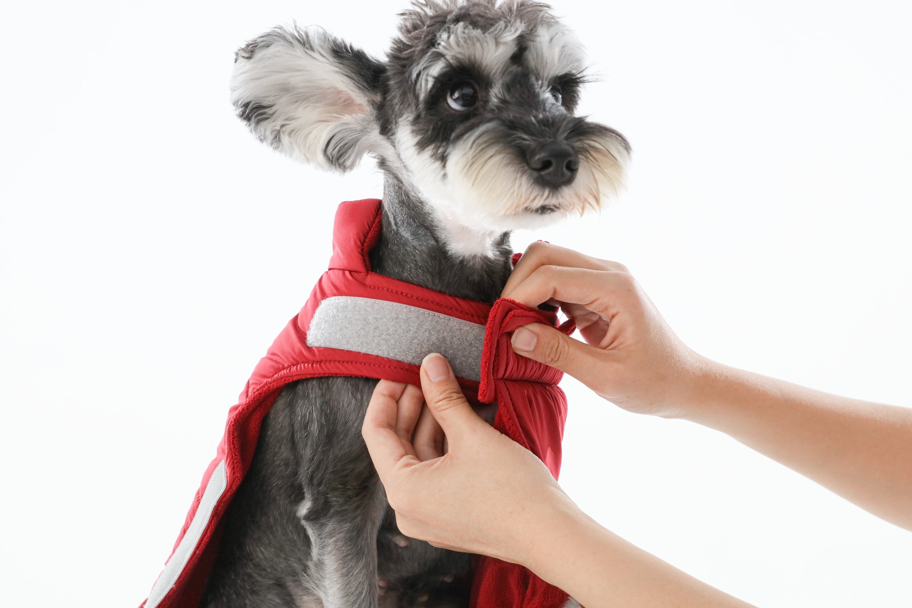 Reversible Dog Vest Jacket-Red