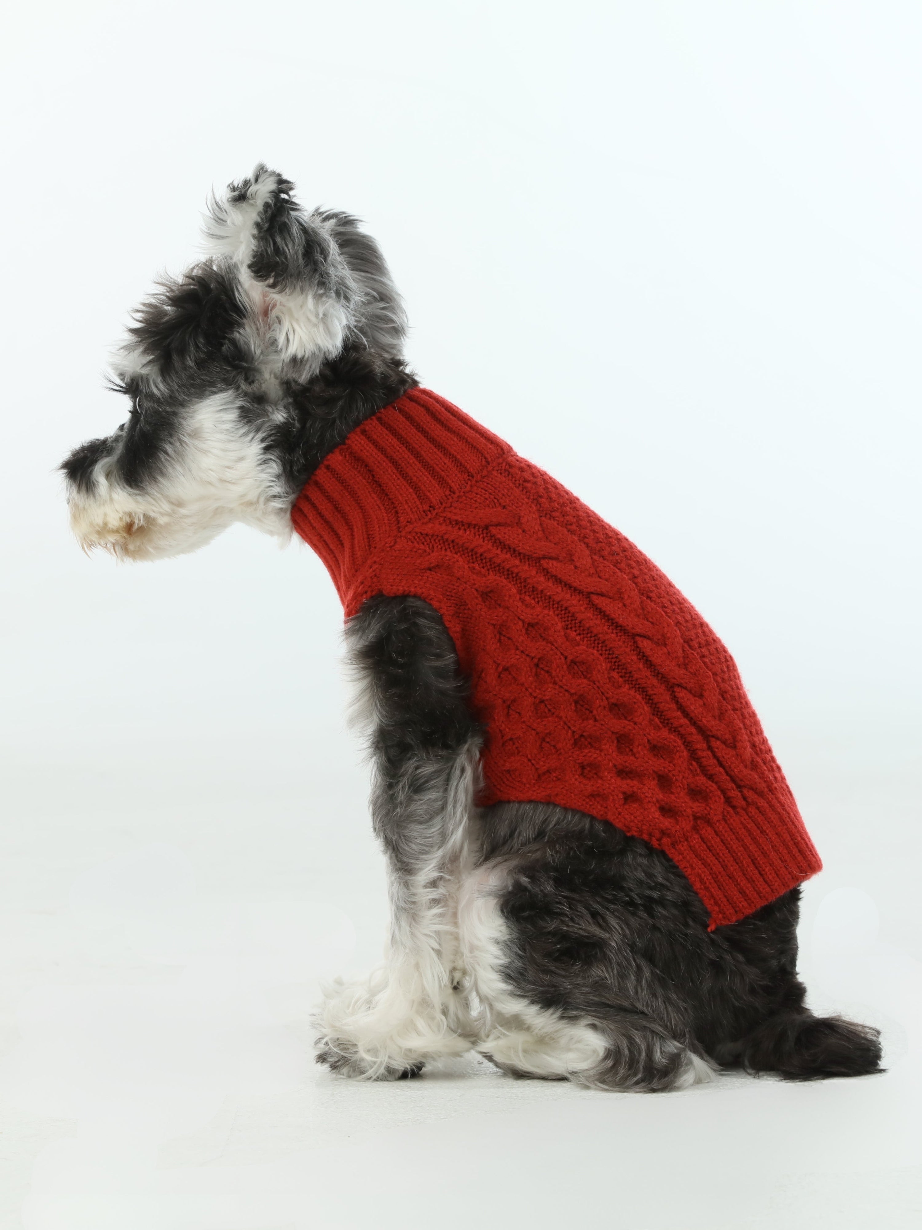 Pet Sweater Vest-Red