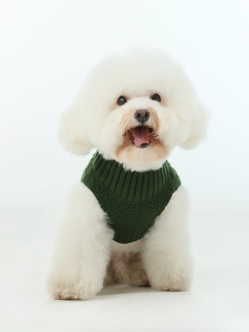 Pet Sweater Vest-Green