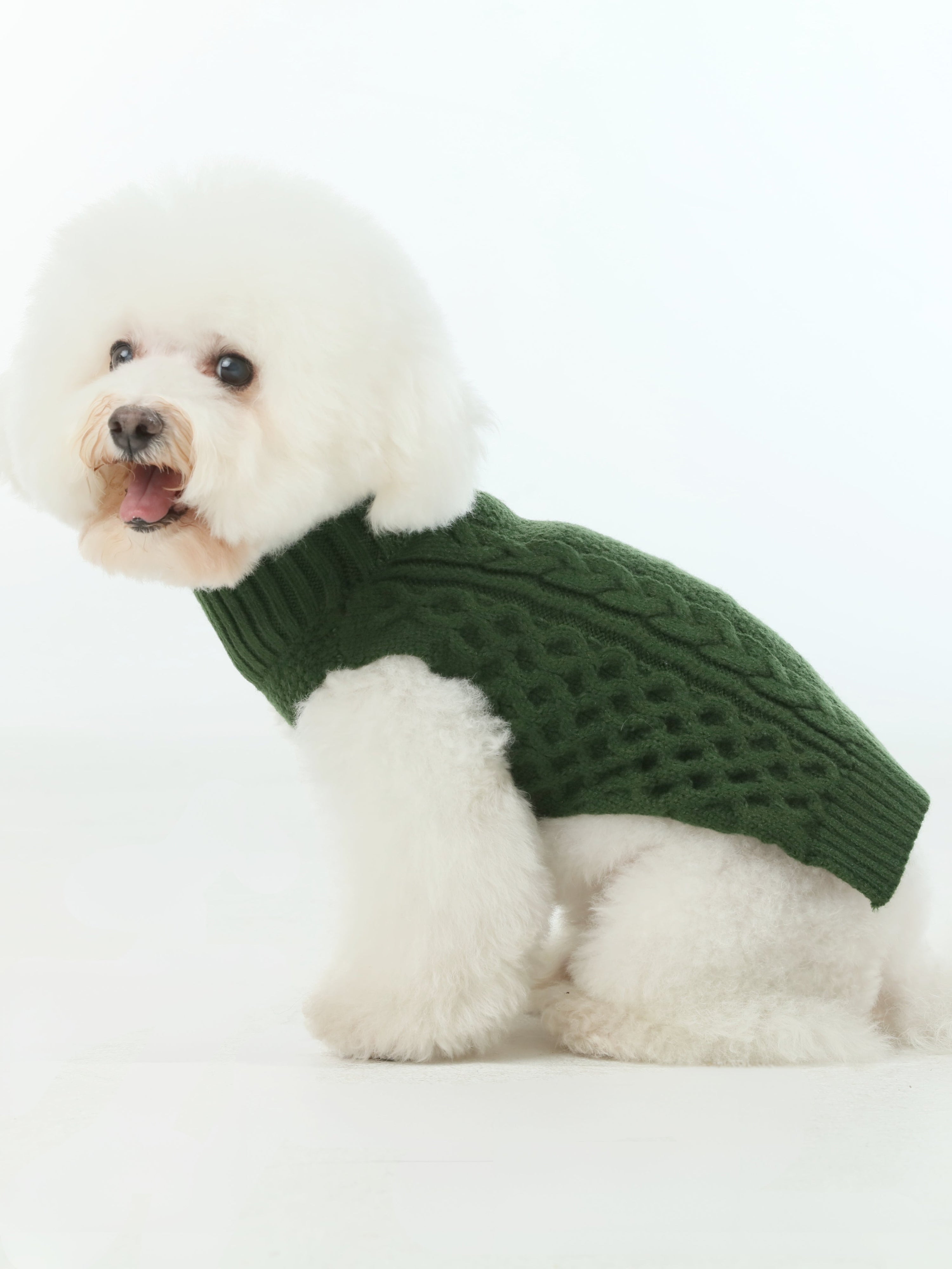 Pet Sweater Vest-Green