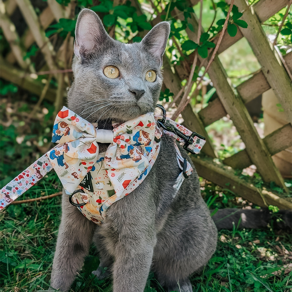 Dog Leash - Disneys Belle