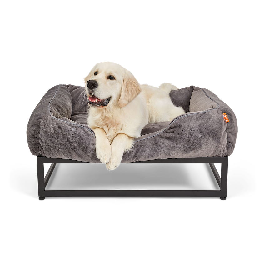 The FUZI Elevated Dog Bed