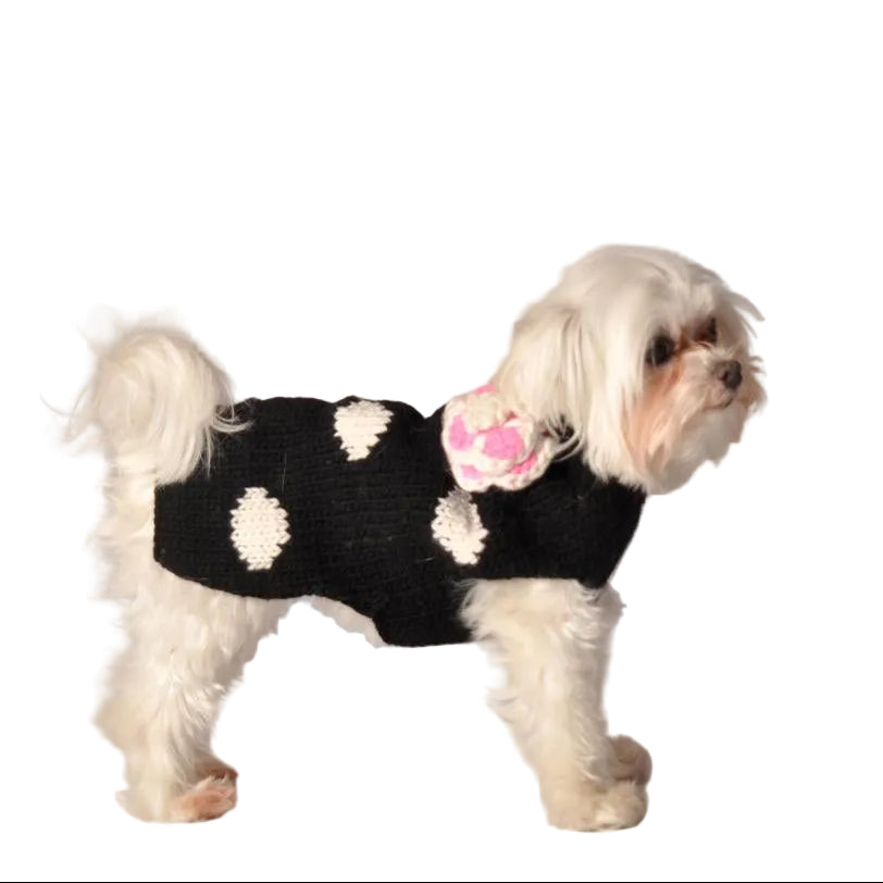 Chilly Dog Black Polka Dot Pink Flower Dog Sweater