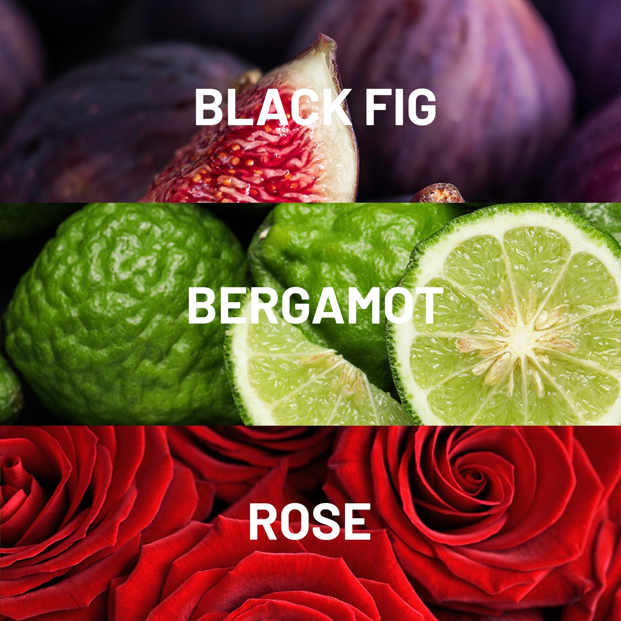 Hotel Collection Black Velvet Fragrance Oils
