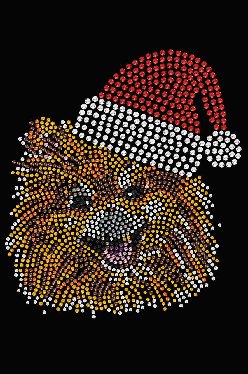 Pomeranian with Santa Hat - Womens T-shirt