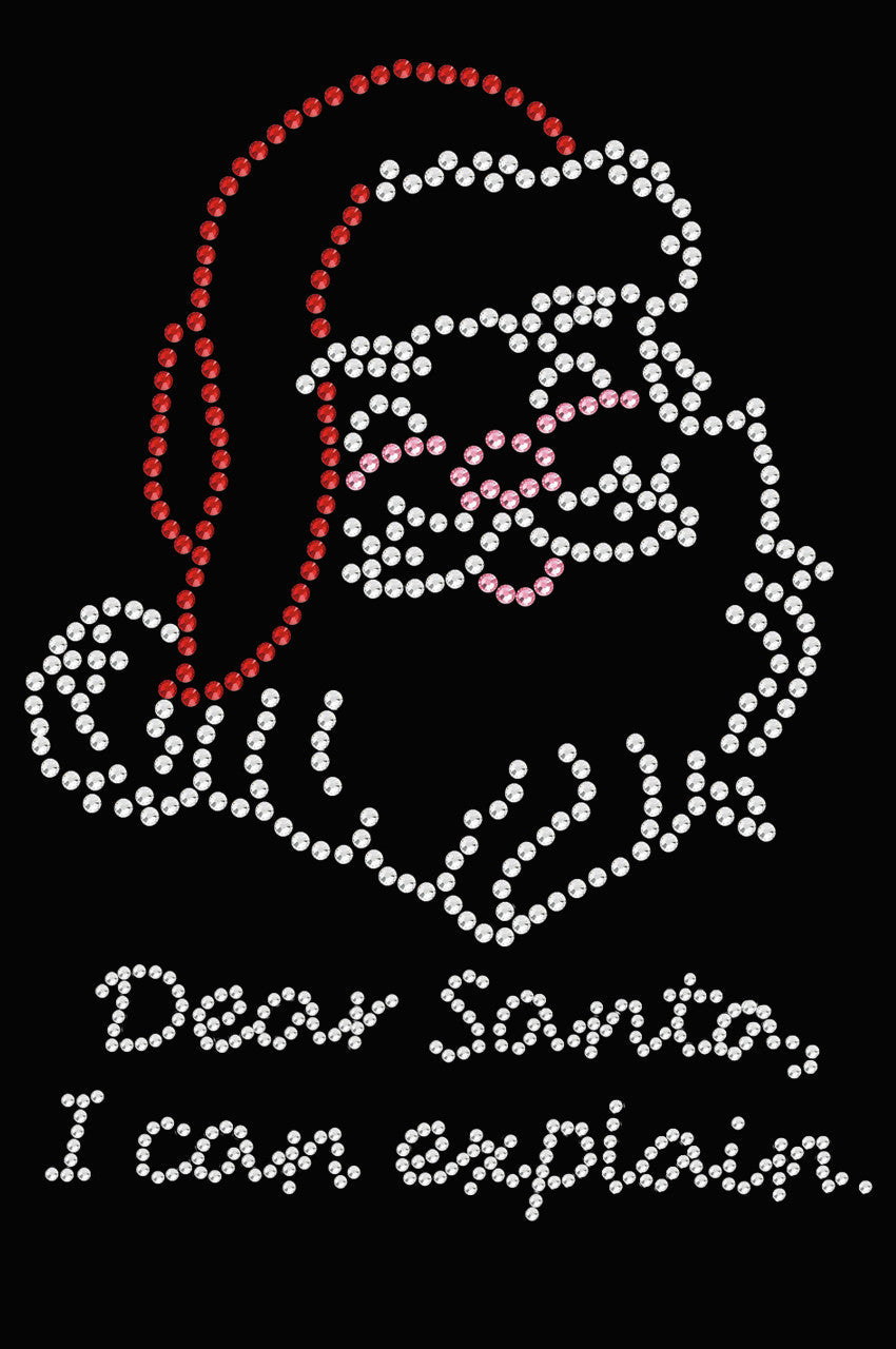 Santa Face - I Can Explain - Women's T-shirt