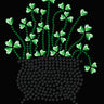 Pot of Shamrocks - Women's T-shirt