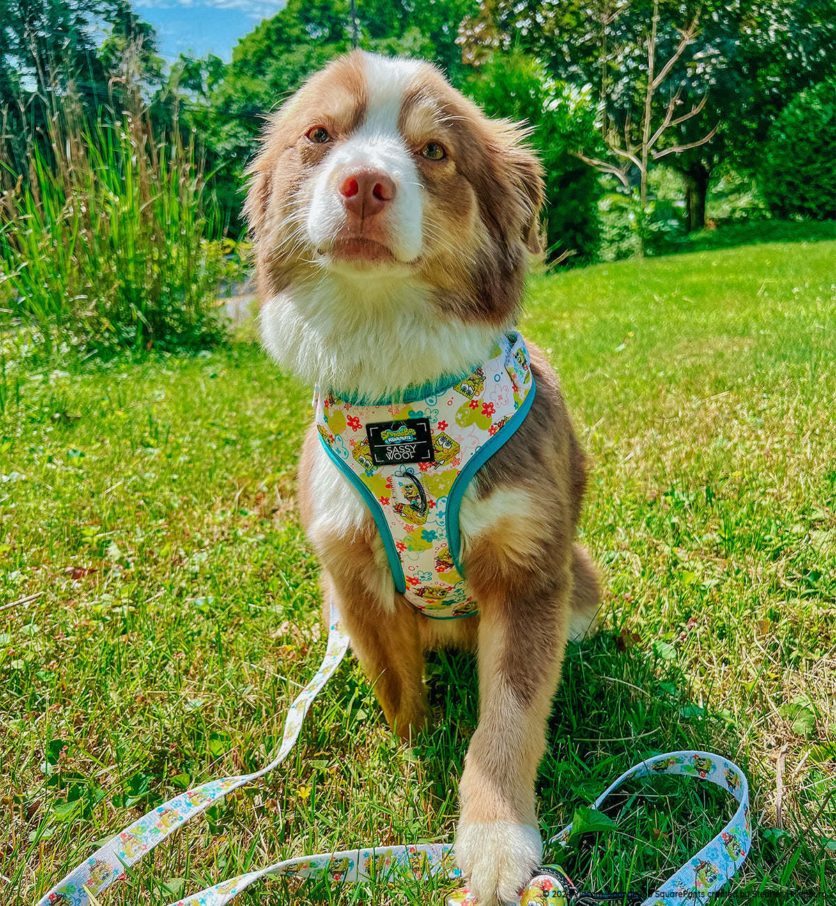 Dog Adjustable Harness - SpongeBob SquarePants™ Bikini Bottom