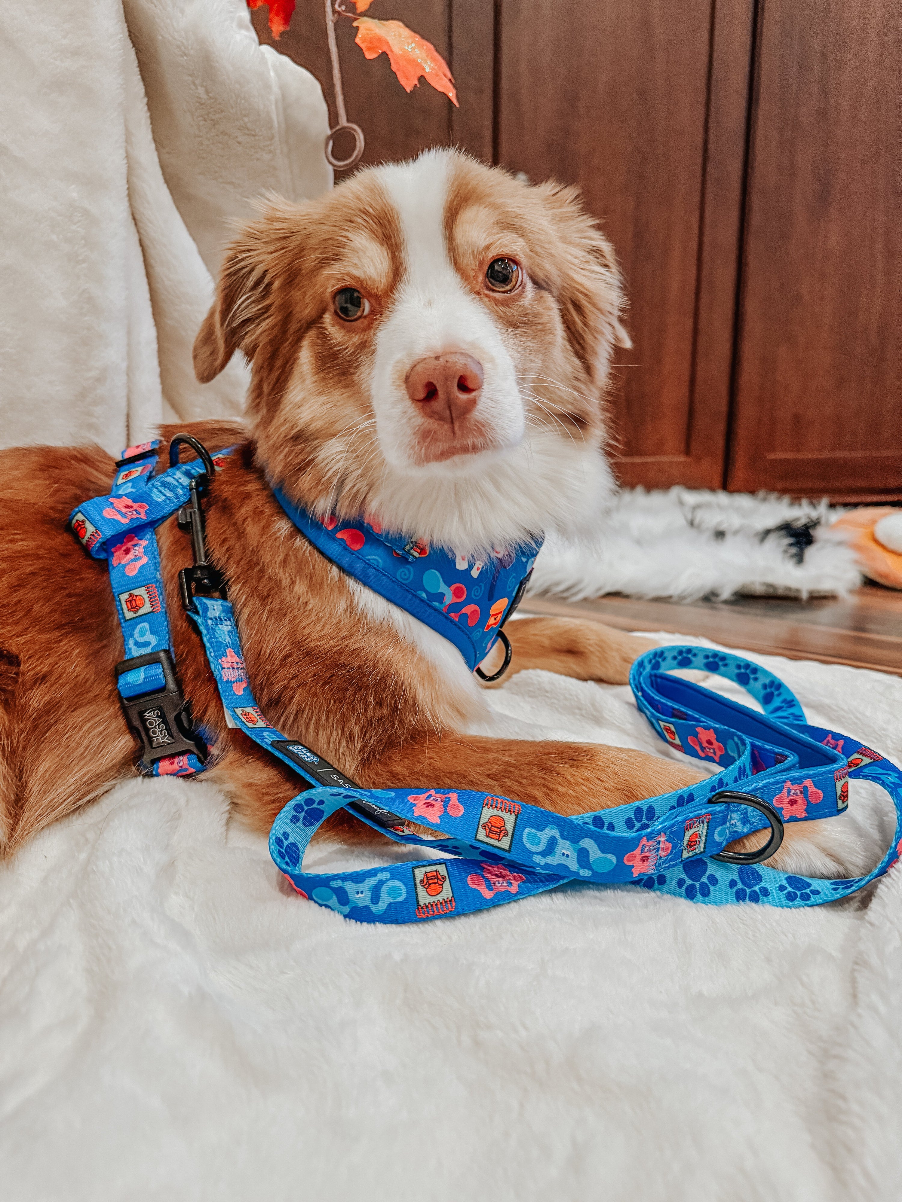 Dog Adjustable Harness - Blues Clues™