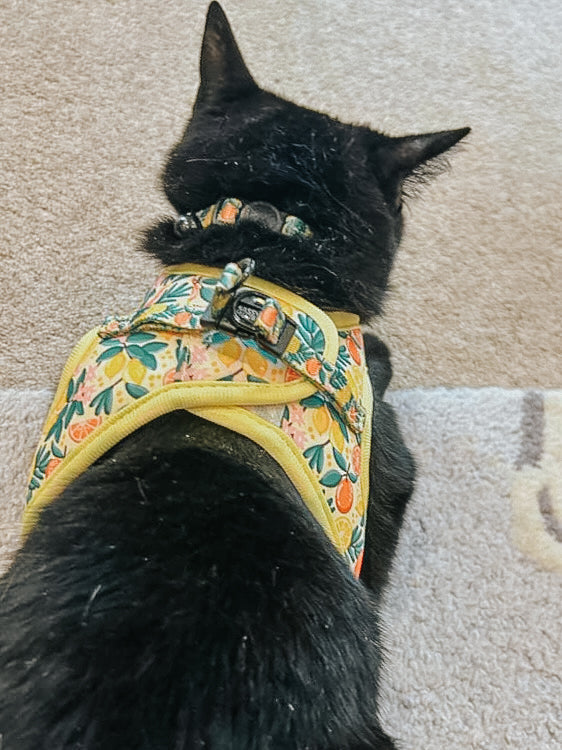 Cat Step-In Harness - Zest Friends
