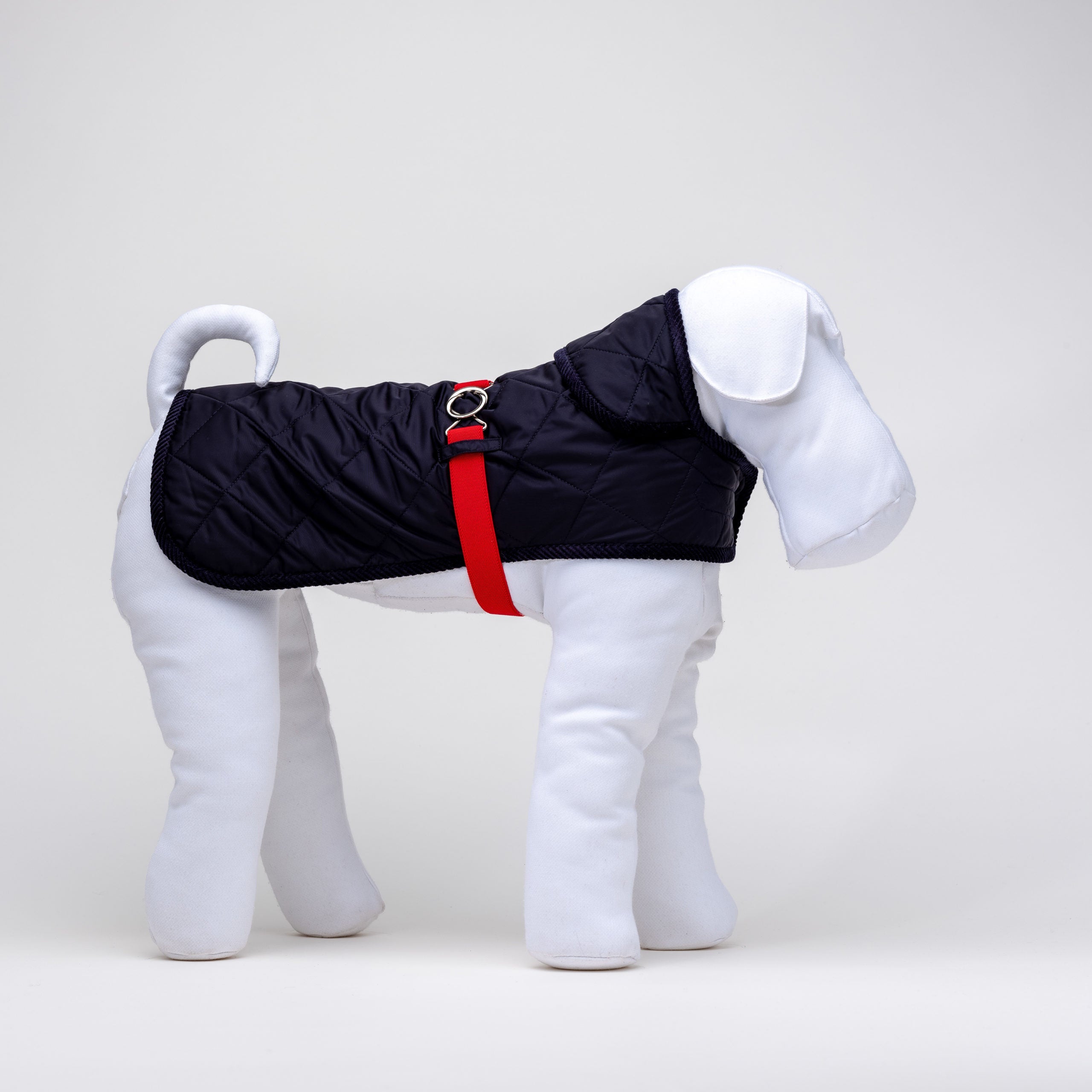 Blue-Red & Quilt Rain