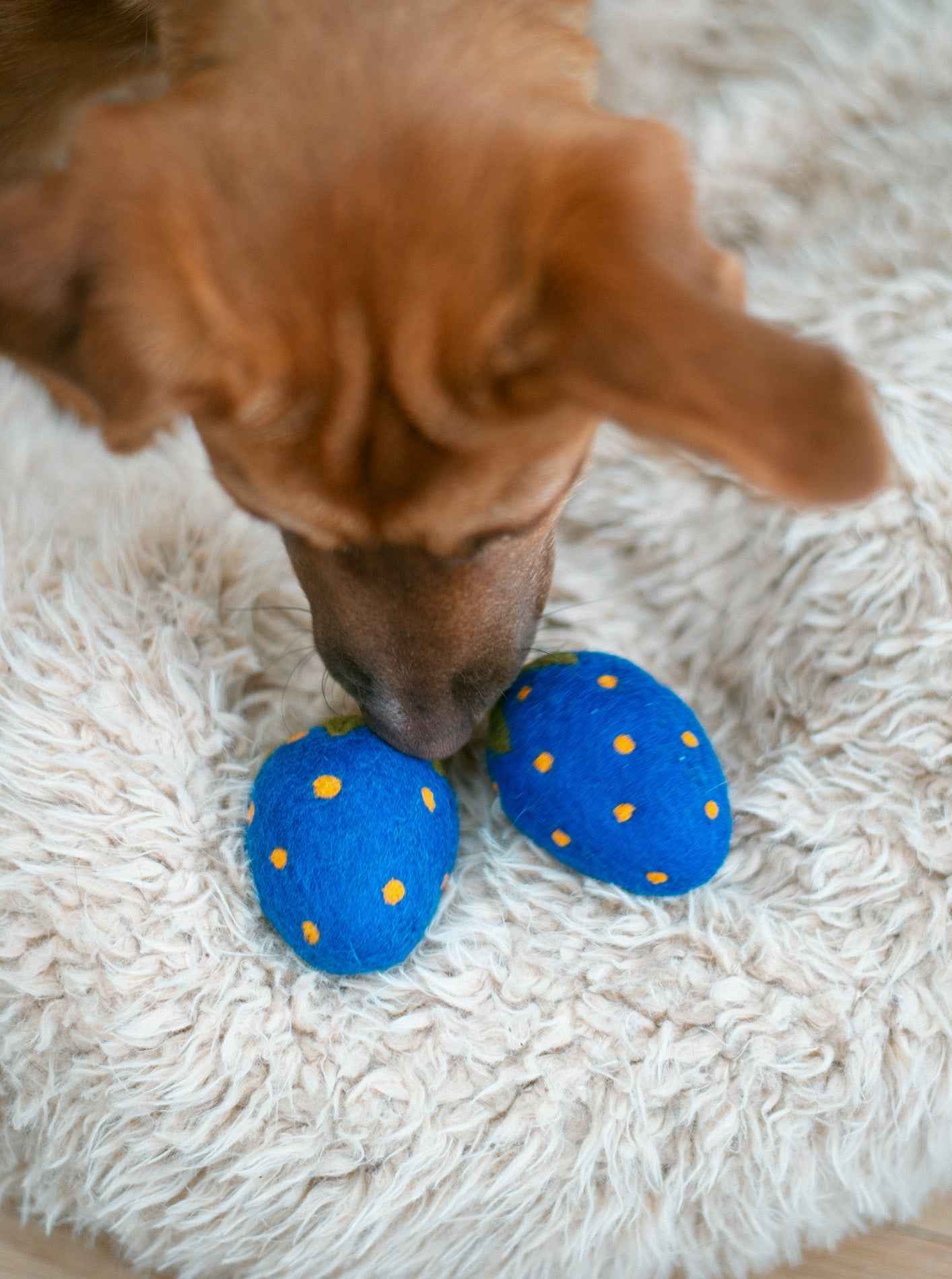 Blue Strawberry Wool Dog Toy