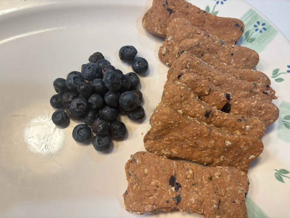 PAWsitively Organic Blueberry Bone Dog Treats