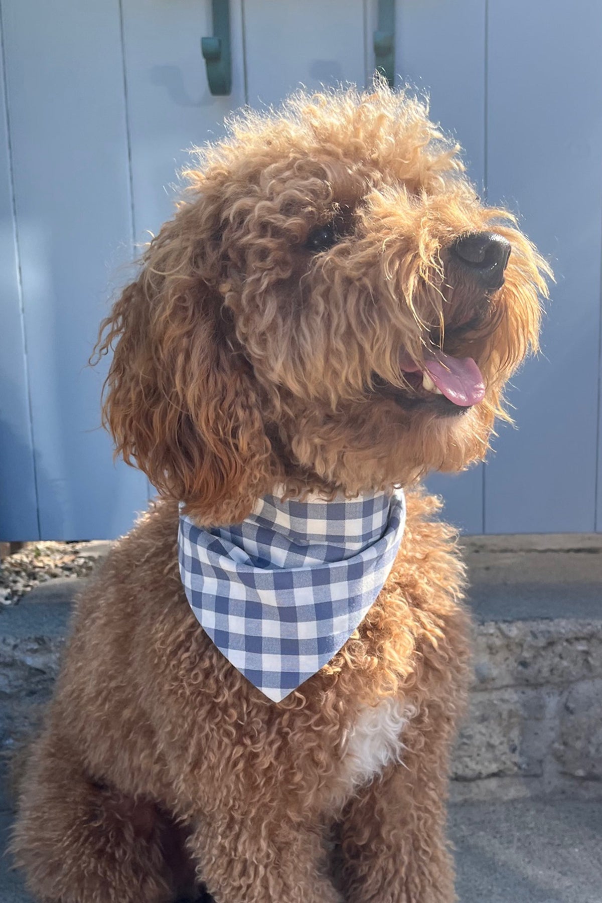 GINGHAM BANDANA | HT Animal Supply