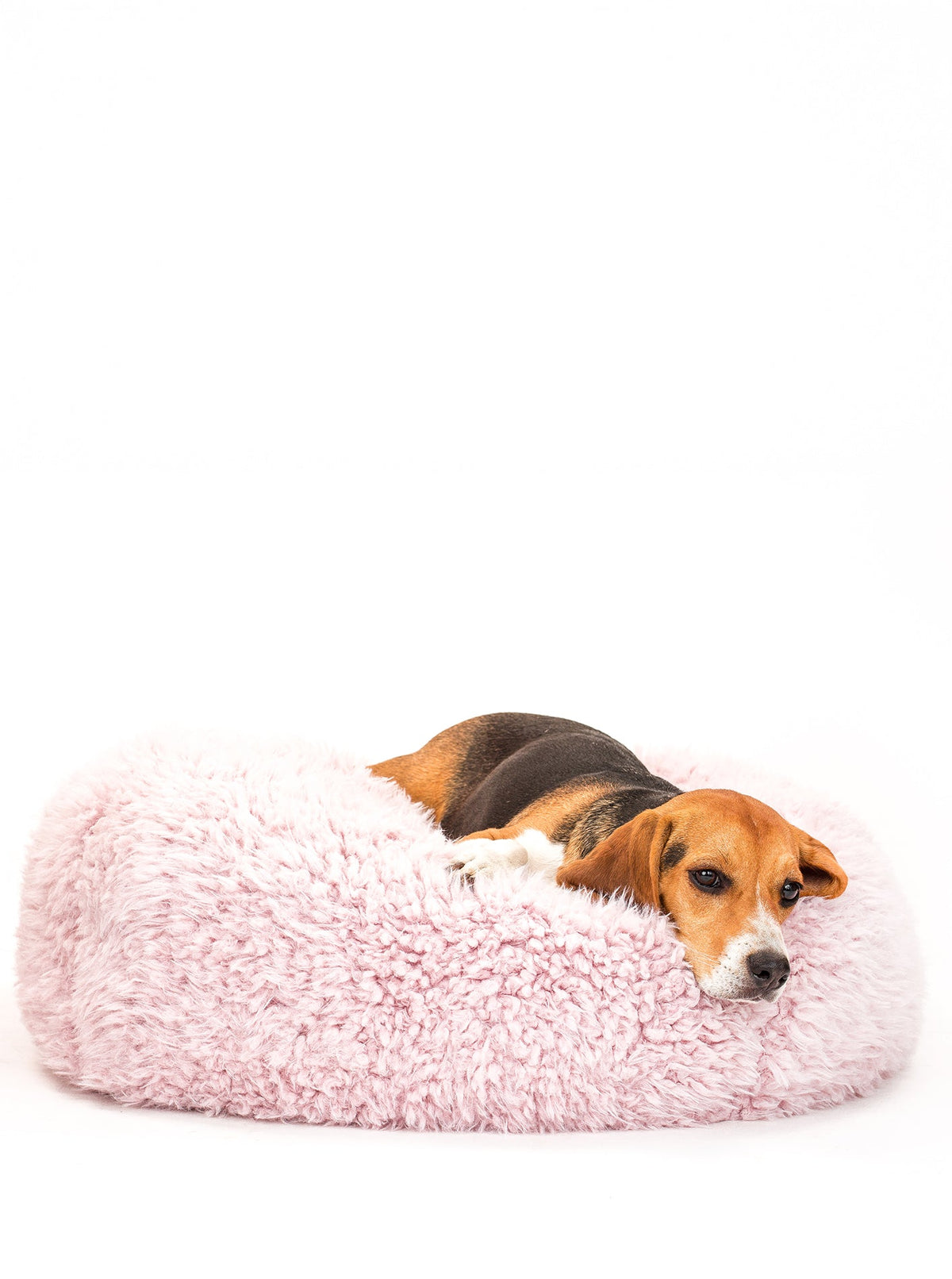 POD DOG BED - HT Animal Supply