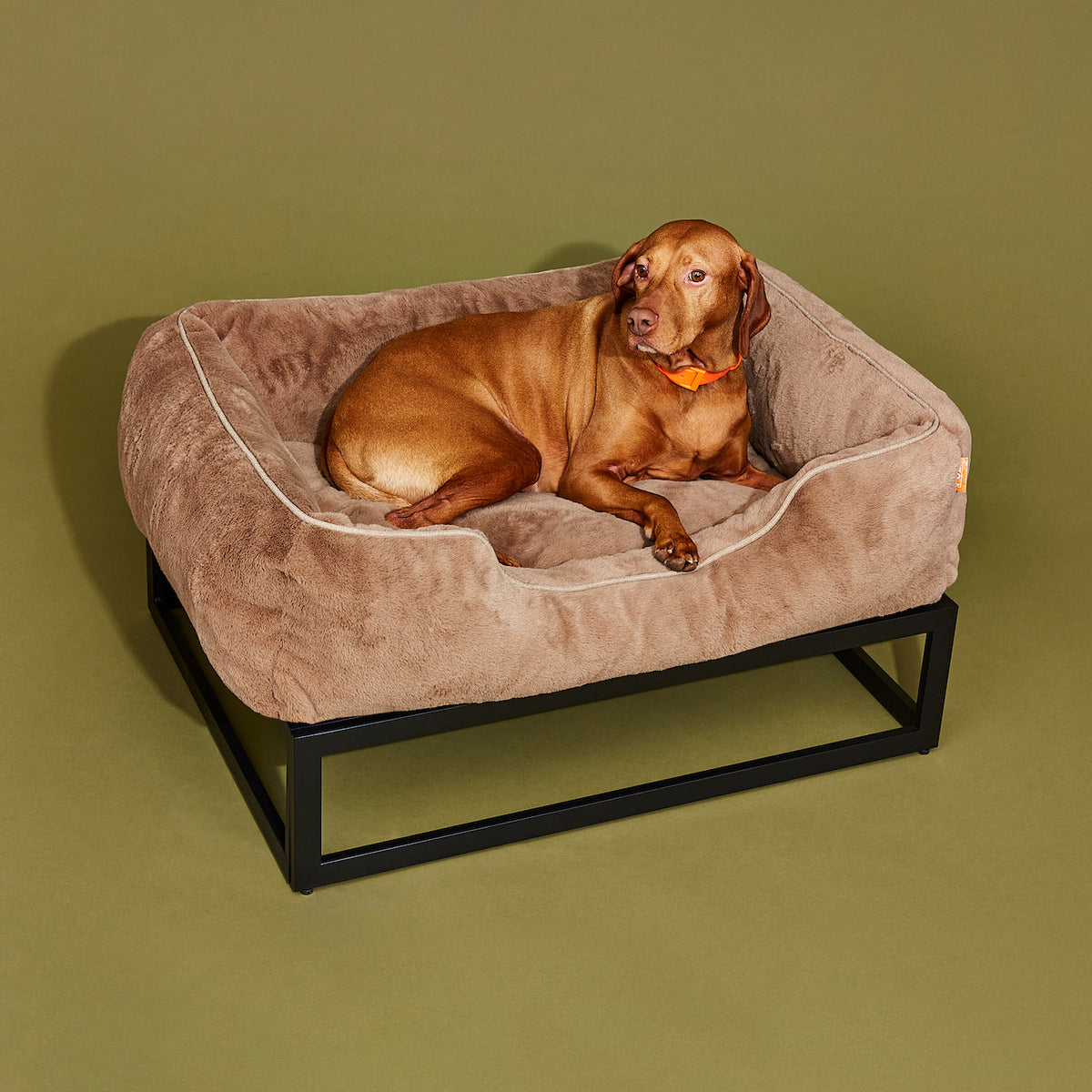 The FUZI Elevated Dog Bed