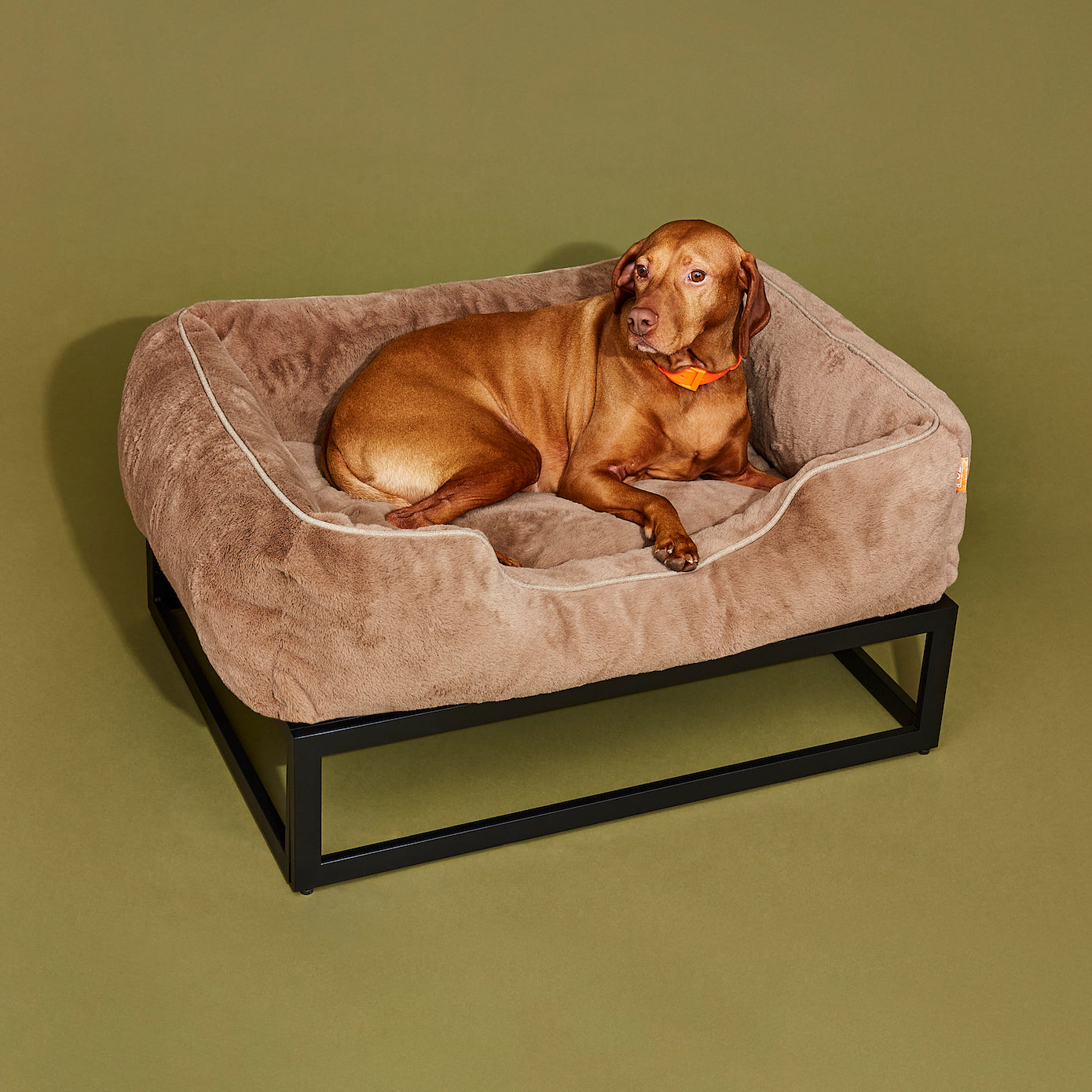 The FUZI Elevated Dog Bed