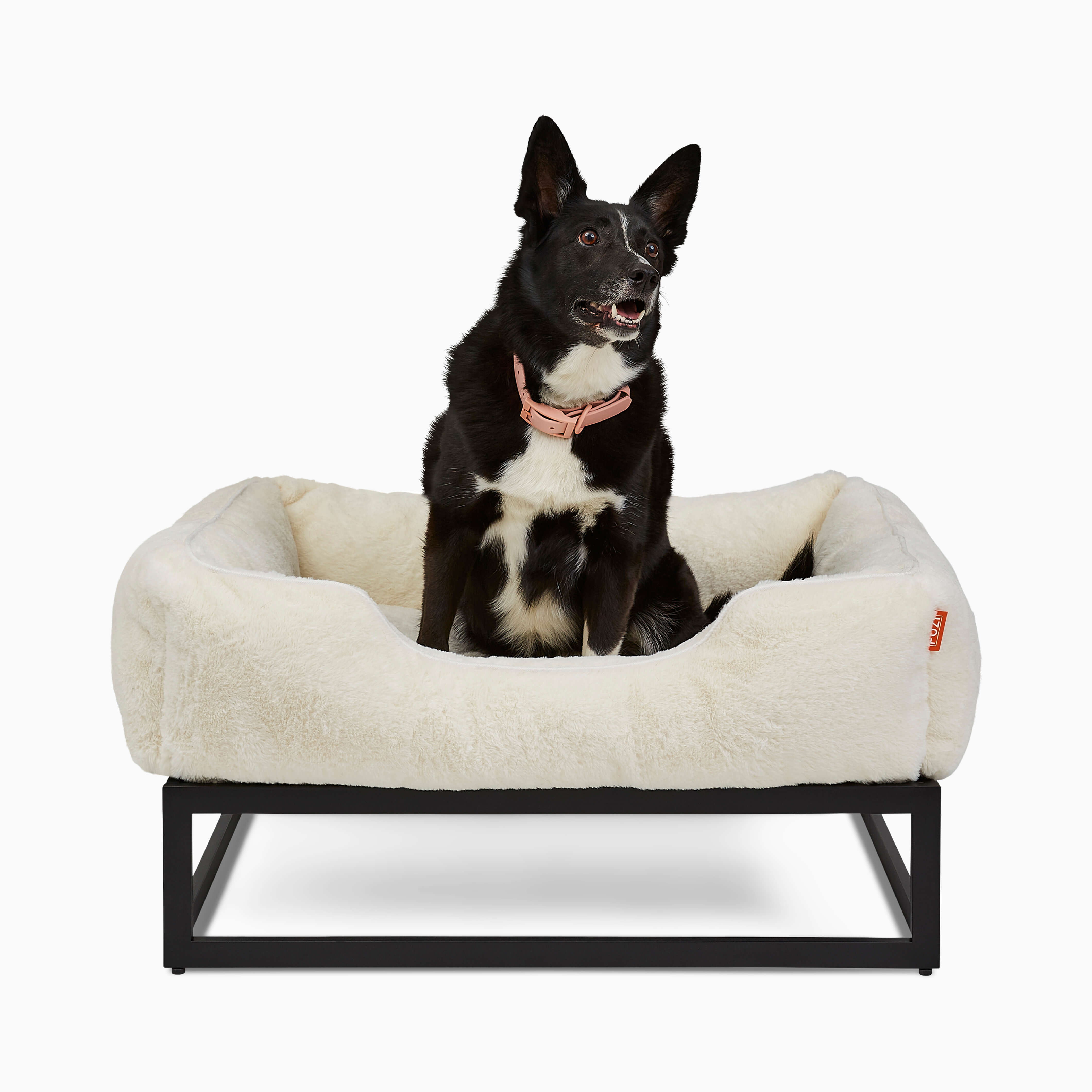 The FÜZI Dog Bed
