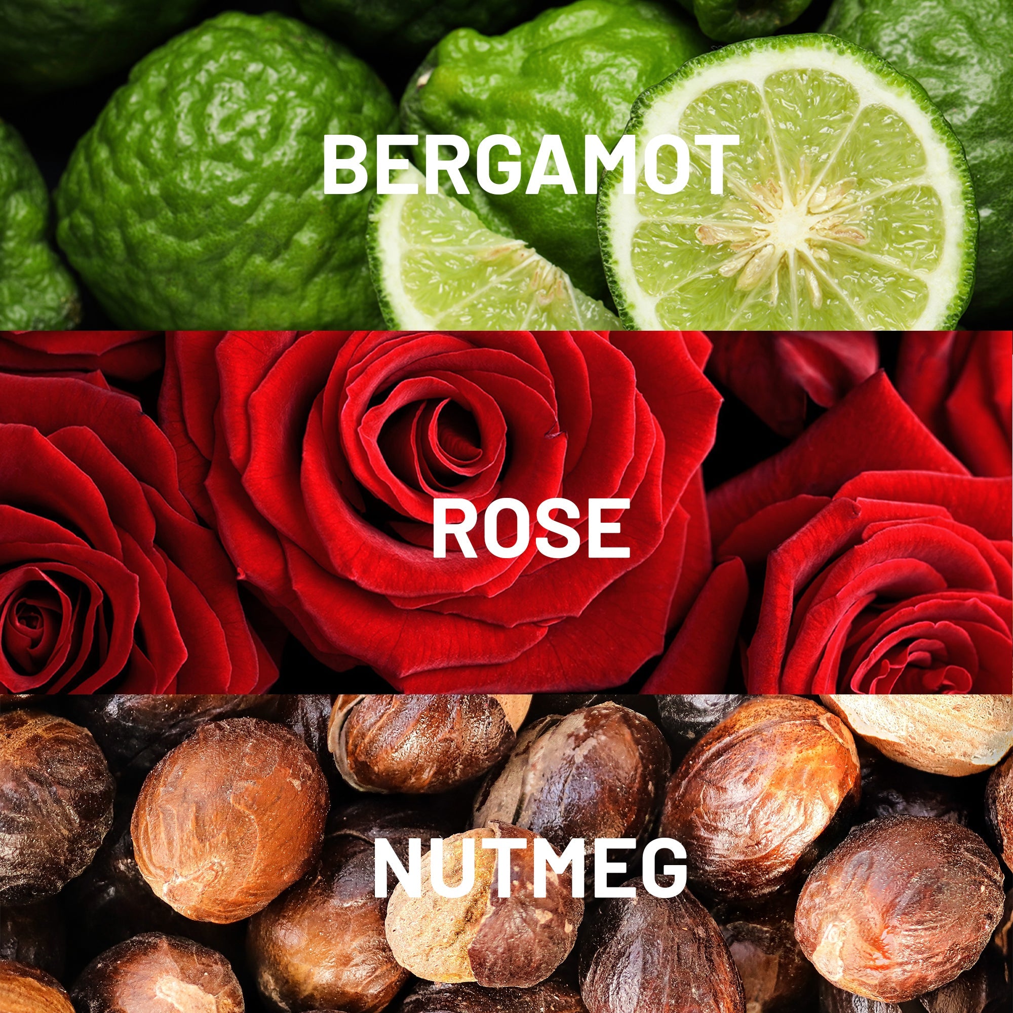 Hotel Collection Bonbori Fragrance Oil
