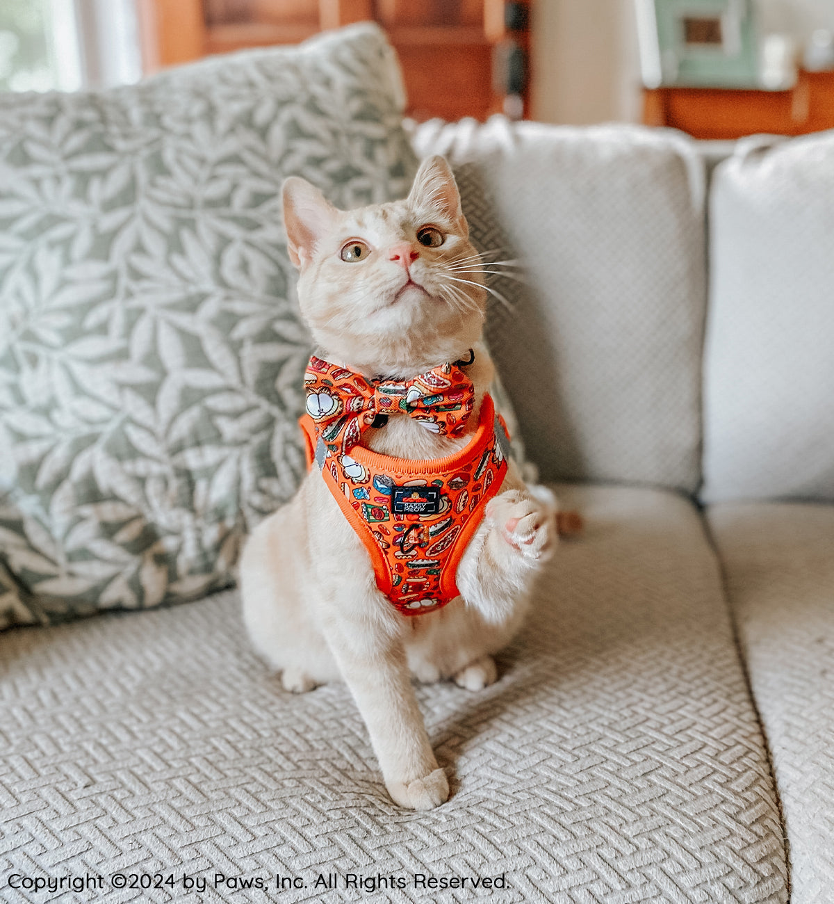 Cat Step-In Harness - Garfield™️