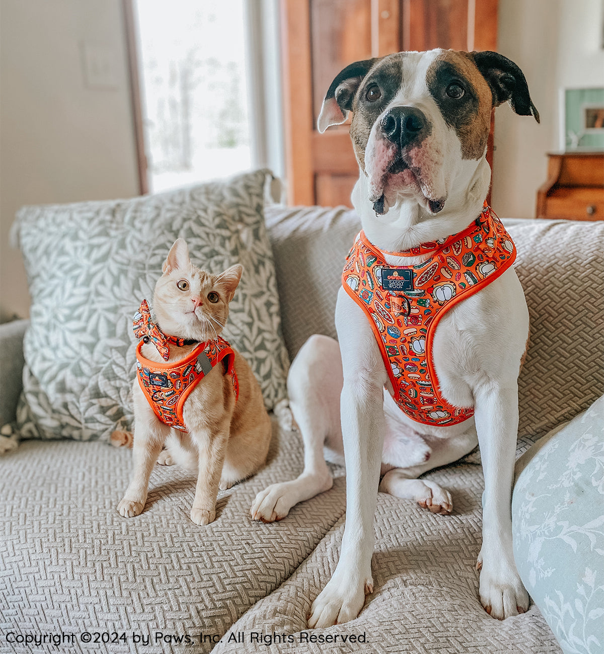 Dog Adjustable Harness - Garfield™