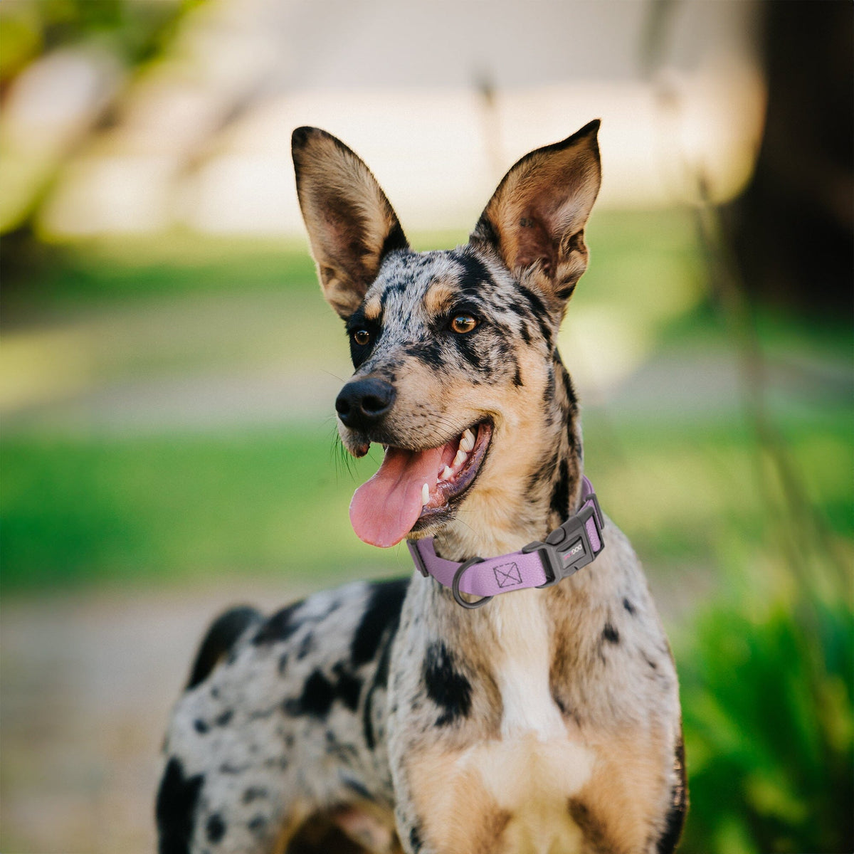 Dogline Pebble Emboss BioThane Dog Collar with Quick Release Buckle