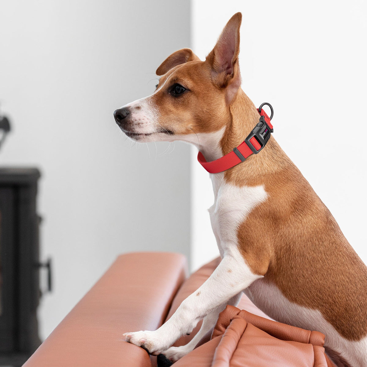 Dogline Pebble Emboss BioThane Dog Collar with Quick Release Buckle