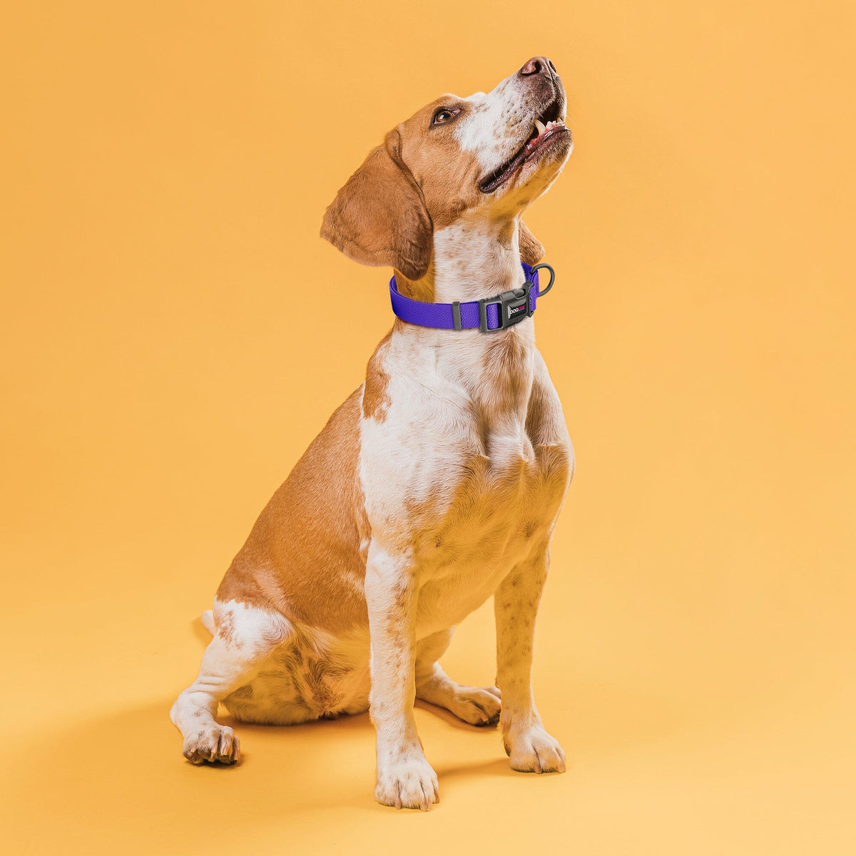Dogline Pebble Emboss BioThane Dog Collar with Quick Release Buckle