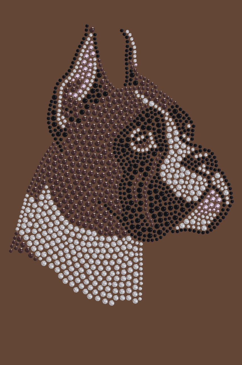 Boxer - bandana