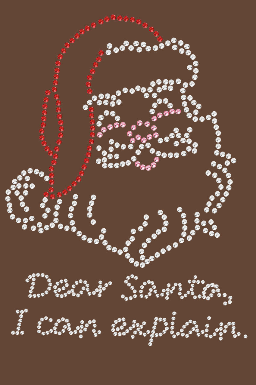 Santa Face - I Can Explain - Women's T-shirt