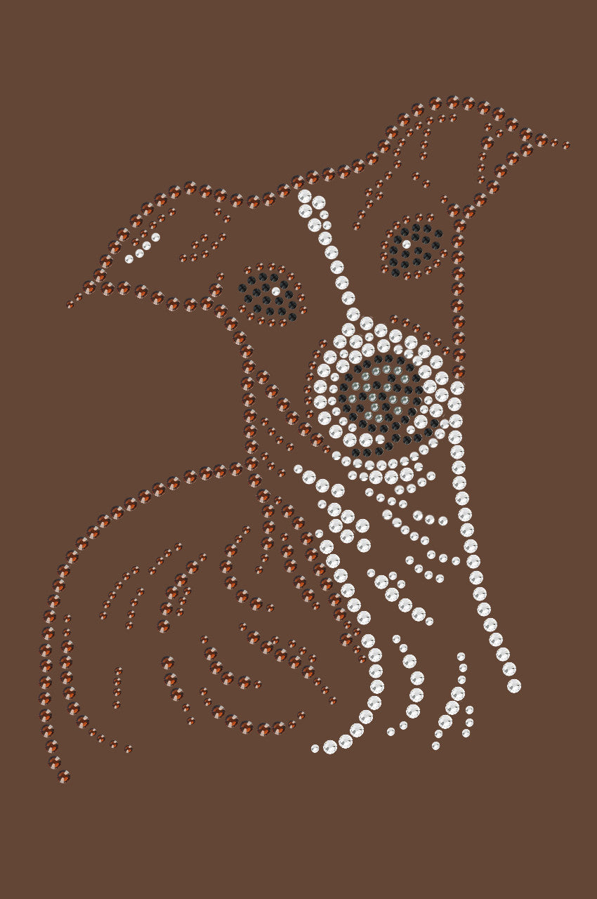 Italian Greyhound Face - bandana