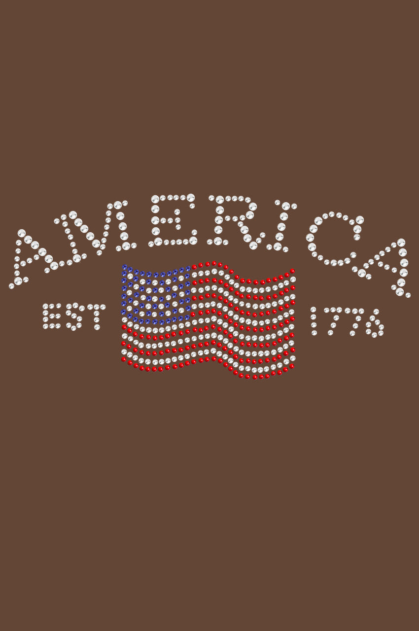 America - Womens T-shirt