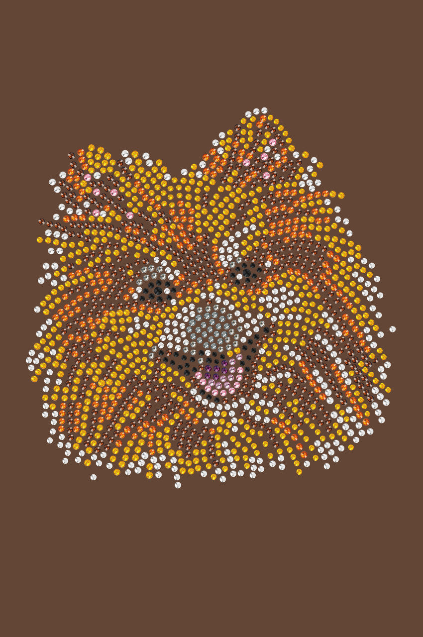 Pomeranian - bandana