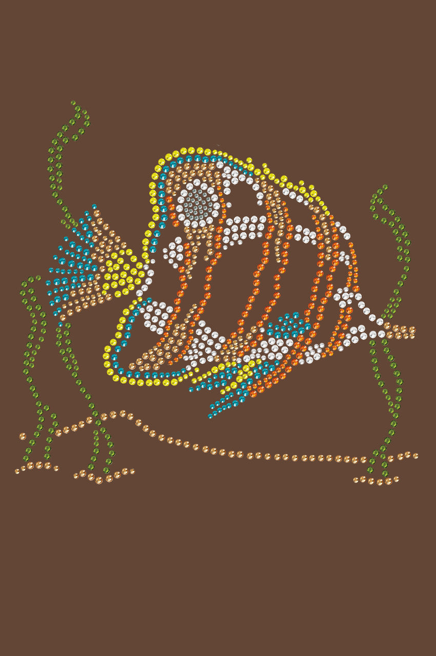 Fish (Orange & Blue) - Womens T-shirt