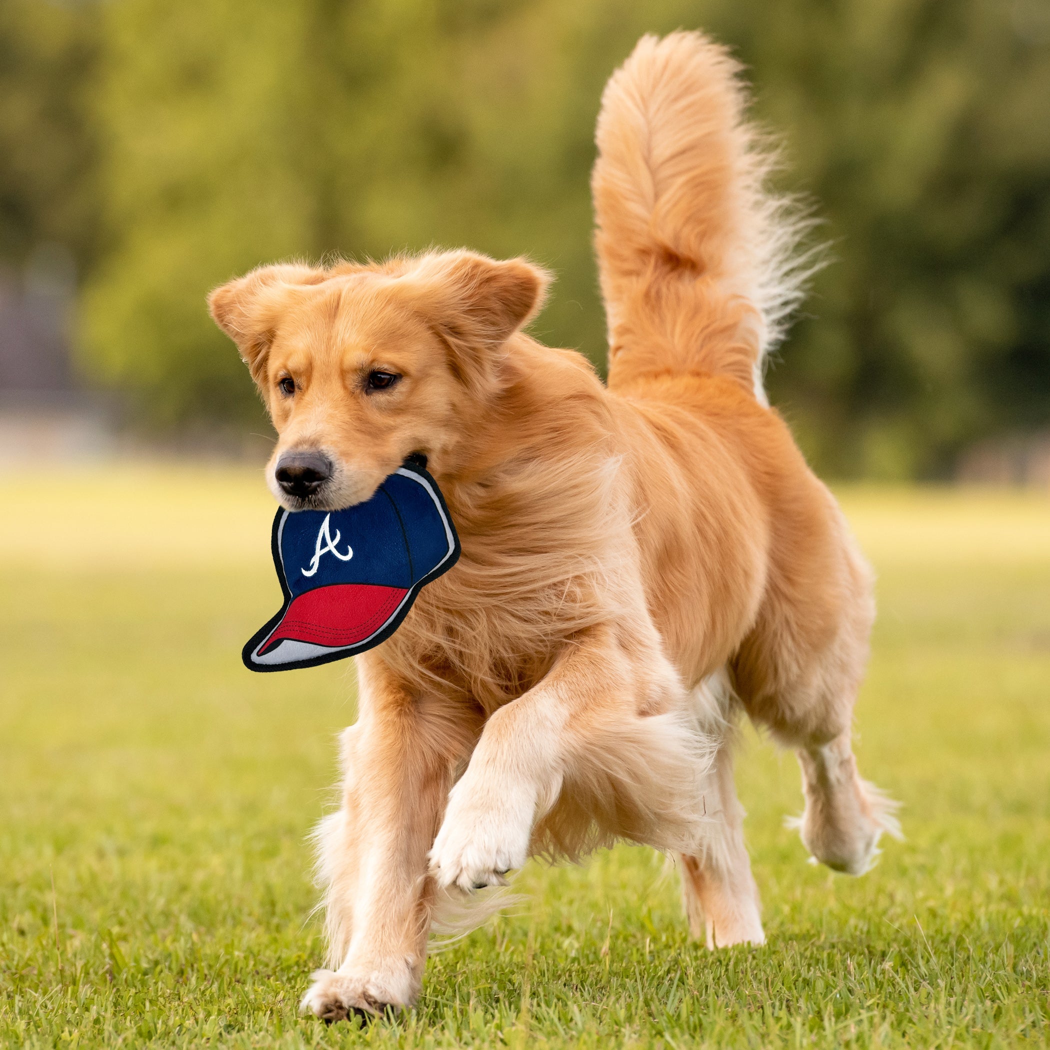 Atlanta Braves Baseball Cap Tough Toy