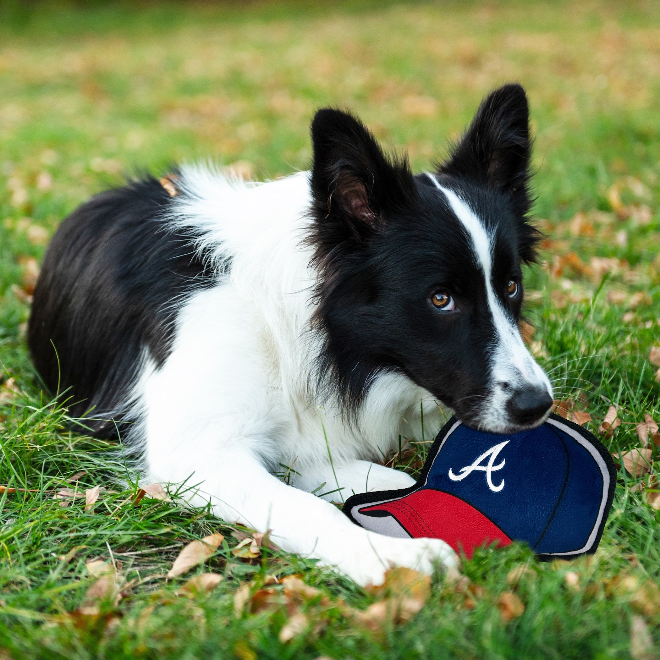 Atlanta Braves Baseball Cap Tough Toy