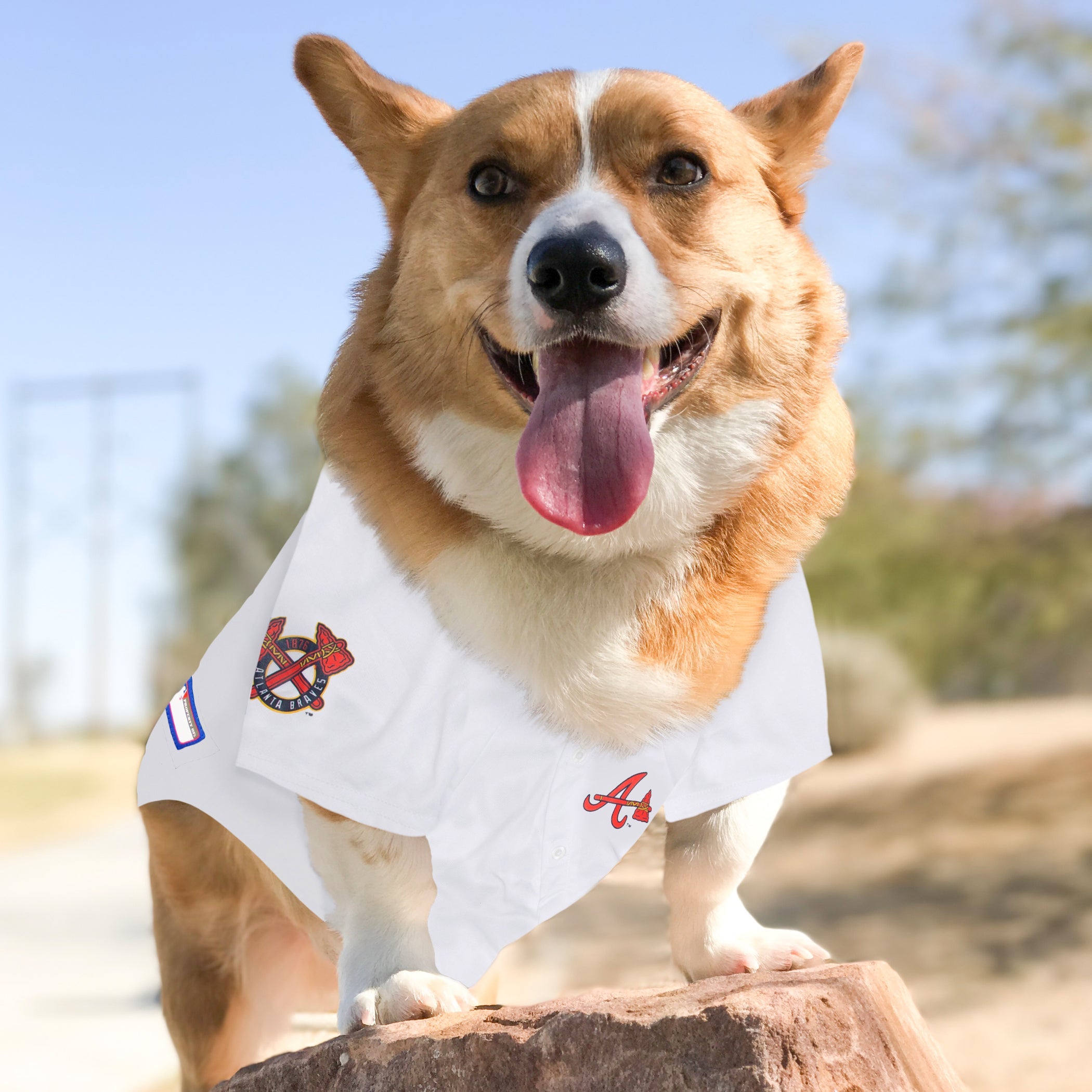 MLB Atlanta Braves White Mesh Pet Jersey